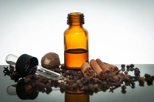 Establish an Allspice Oil Processing Plant: Cost Analysis and Operations