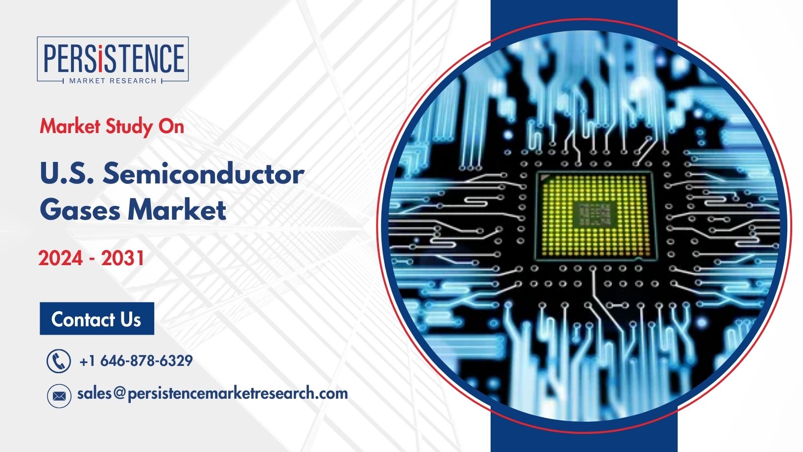 U.S. Semiconductor Gases Market Overview for Industry Stakeholders