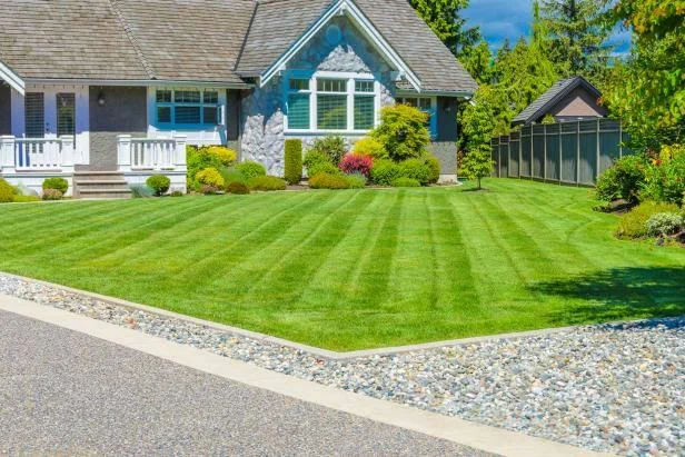Creative Landscaping Ideas to Make Your Garden Stand Out