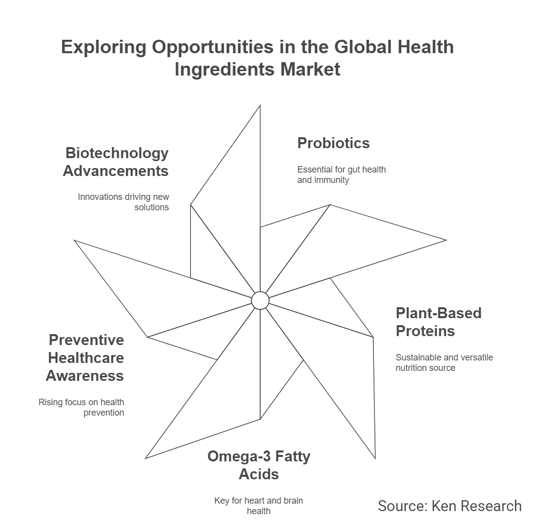 Top 5 Emerging Opportunities in the Global Health Ingredients Market in 2028