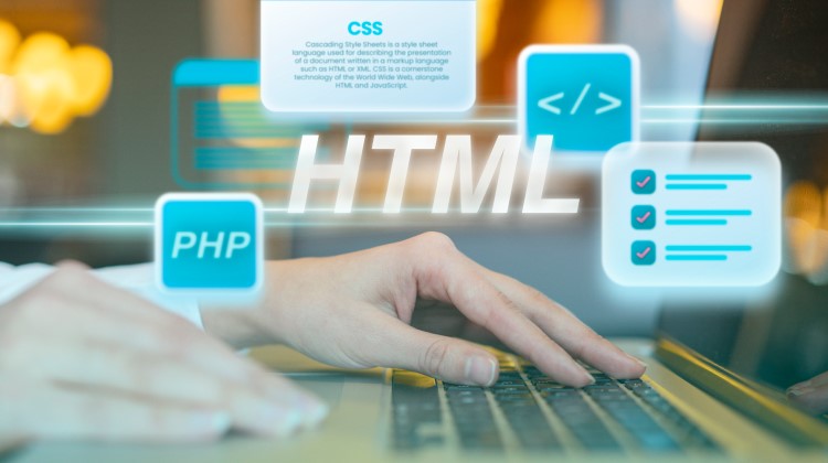 What Makes a PHP Web Development Company in India Stand Out?