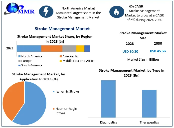 Stroke Management Market Projected to Reach USD 45.56 Bn by 2030