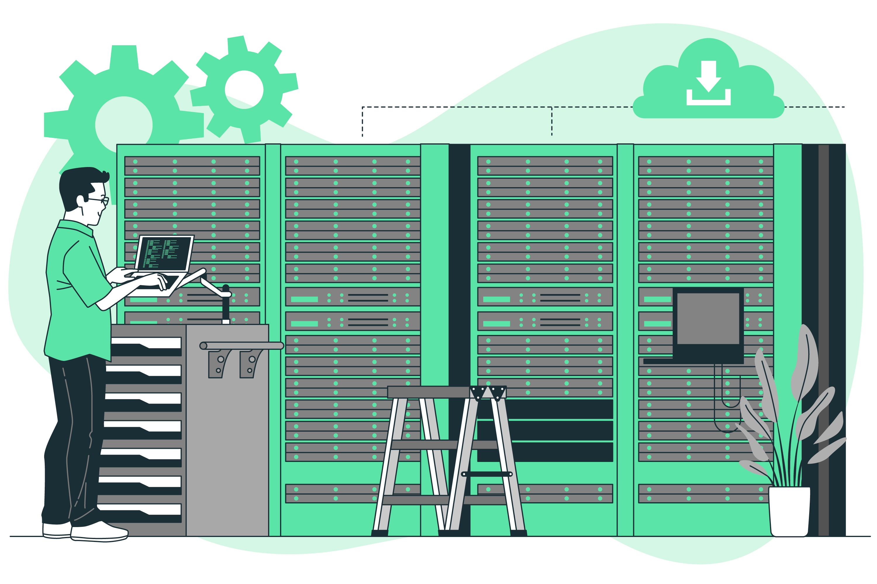 Free vs. Paid Web Server Checkers: Which Is Right for Your Website?