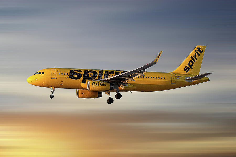 What Is Spirit Airlines' Policy for Traveling with Pets?