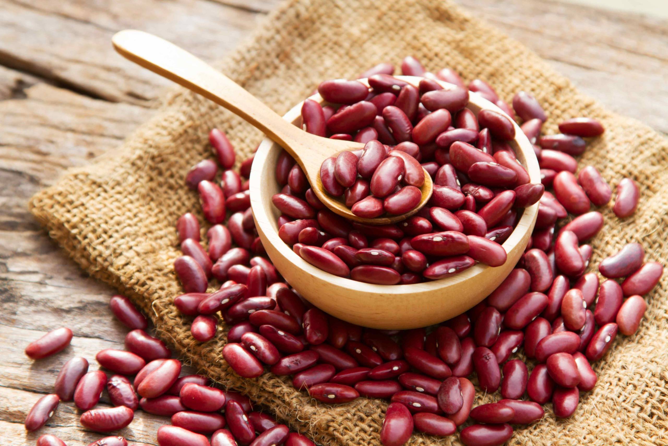 Kidney Bean Processing Plant 2024: Detailed Project Report, Raw Materials Requirement, Cost and Revenue