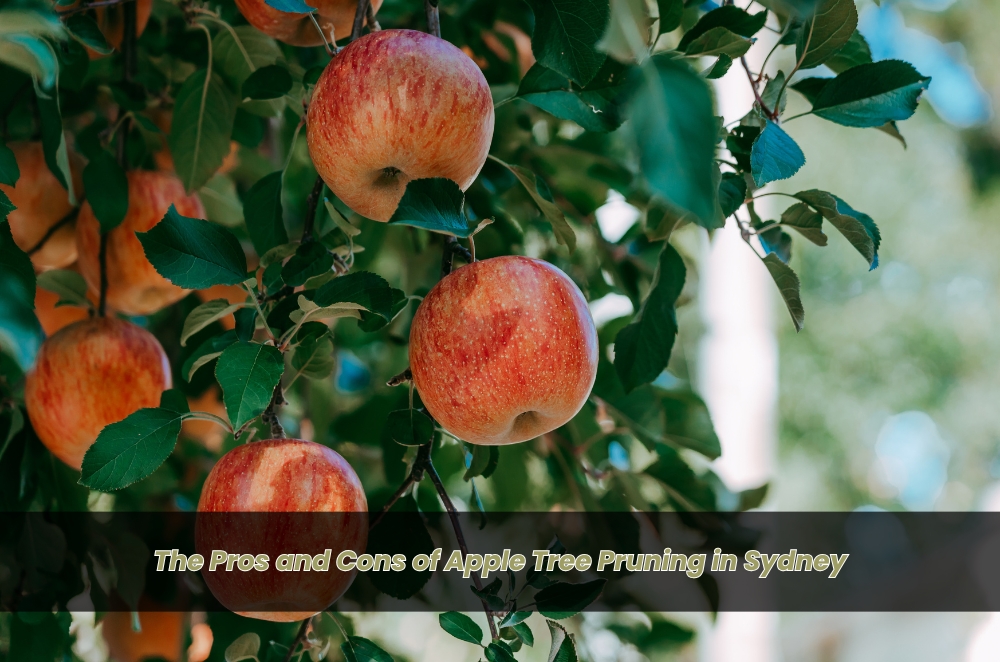 The Pros and Cons of Apple Tree Pruning in Sydney
