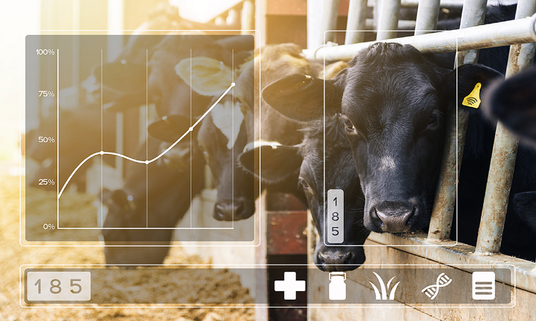 Precision Livestock Farming Market to Benefit from Smart Practices, High Demand