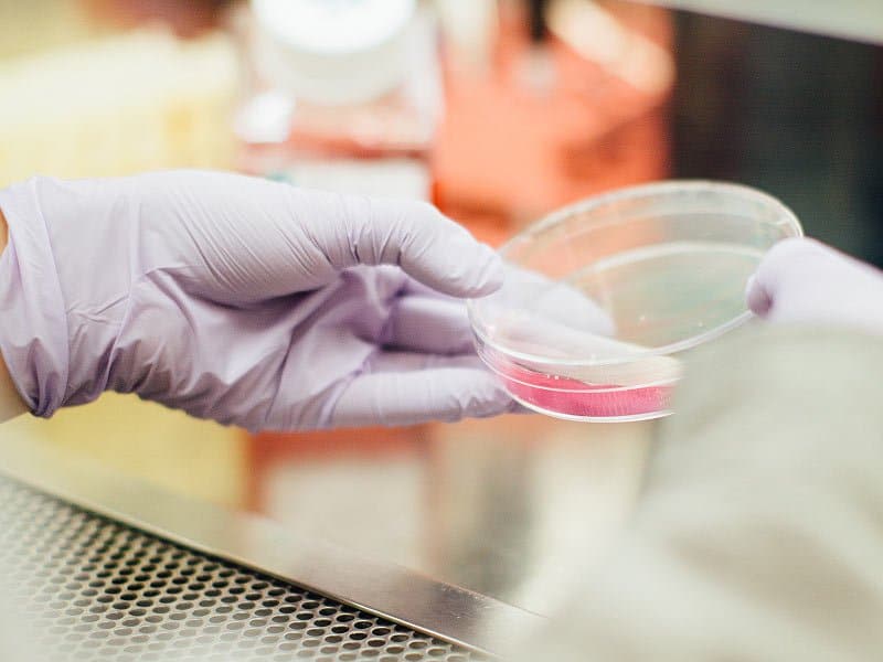 Stem Cell Therapy for Skin Rejuvenation, A Natural Solution