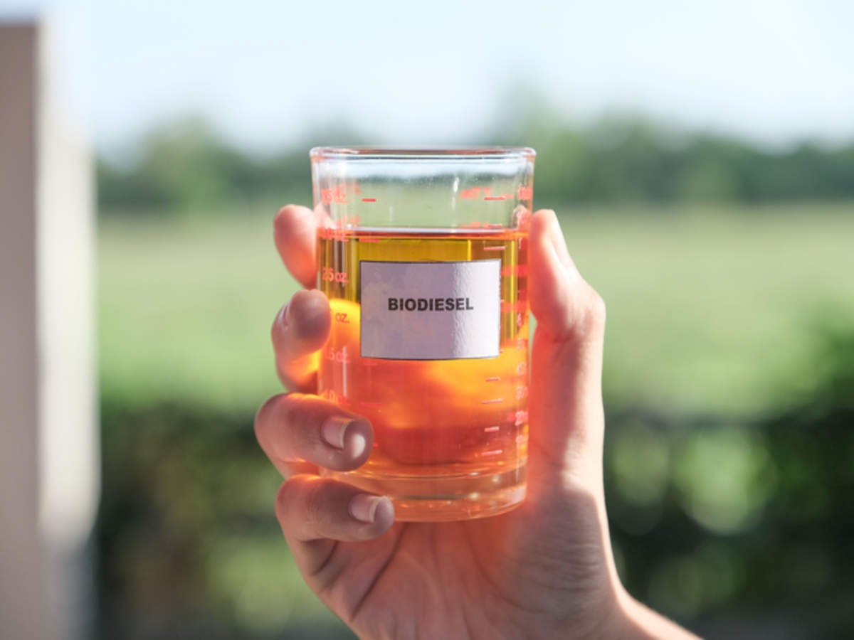 Guide to Setting Up a Biodiesel Manufacturing Plant