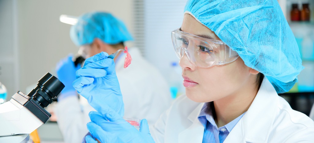 GMP Testing Service Market Trends, Share, Size Analysis, and Forecast 2025-2033