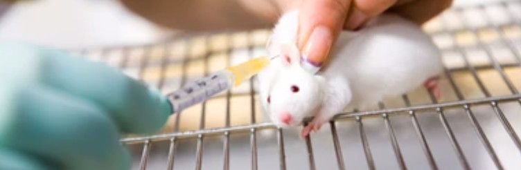 The Importance of Biodistribution Studies and Dosimetry Services in Radiopharmaceuticals