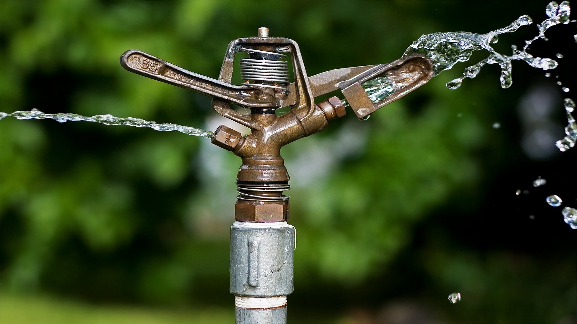 Sprinkler Irrigation System Market Expands with Greenhouses and Investments