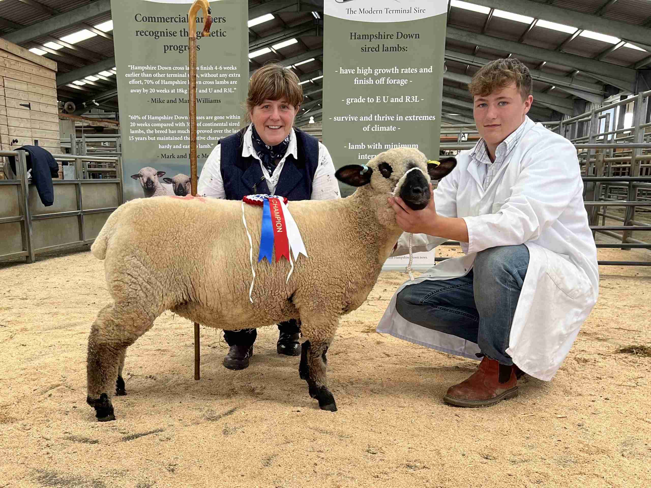 The Role of Sheep Farming in the Scottish Economy