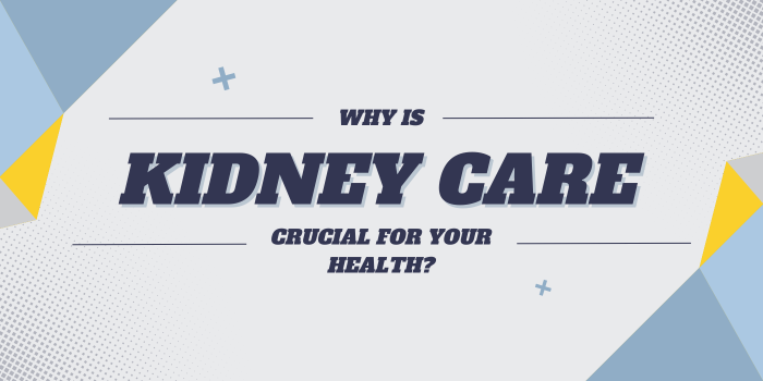 Why Is Kidney Care Crucial for Your Health? - By Hiranandani Hospital