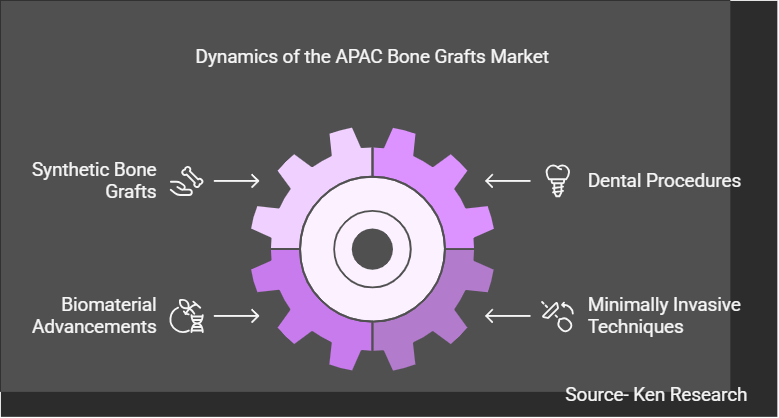 The Industry Insights into the APAC Bone Grafts and Substitutes Market