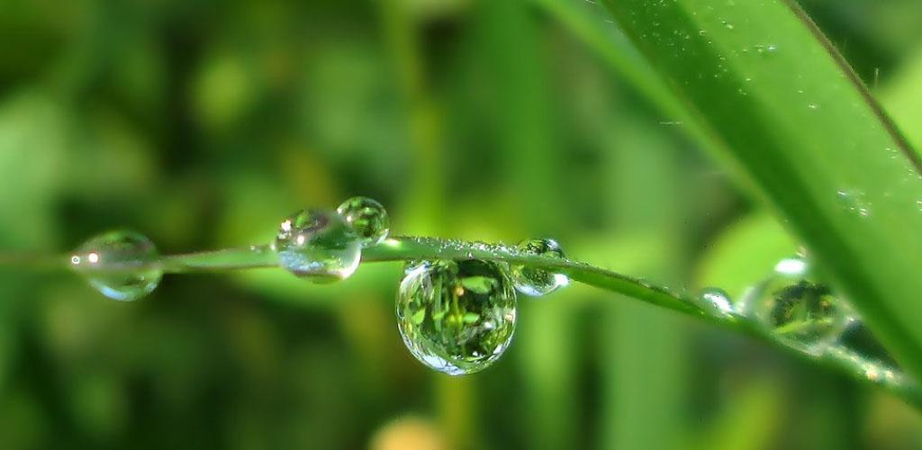 Understanding Dew Point Calculator | A Comprehensive Guide