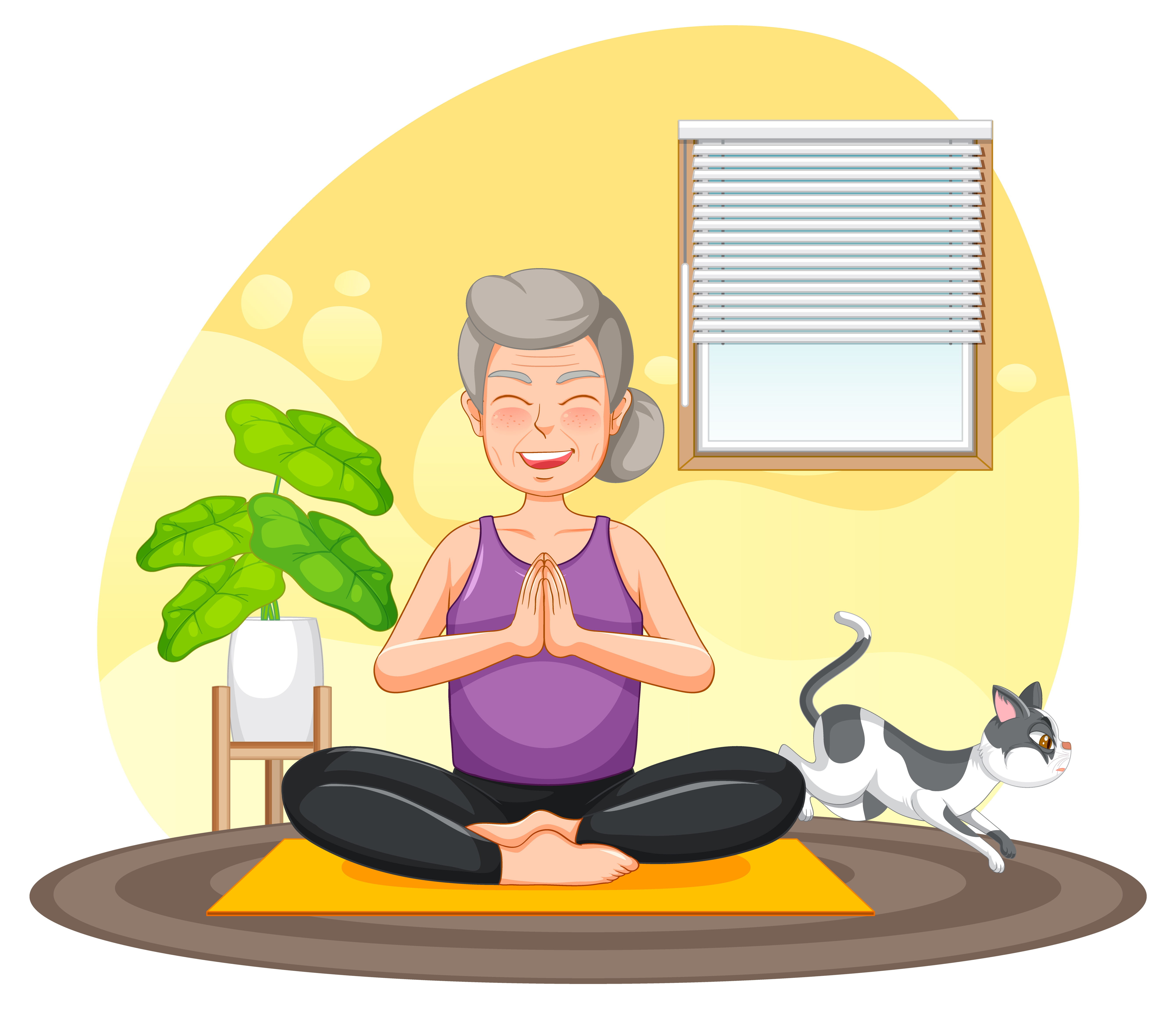 Senior Exercise Program Near Me and Adaptive Fitness Near Me