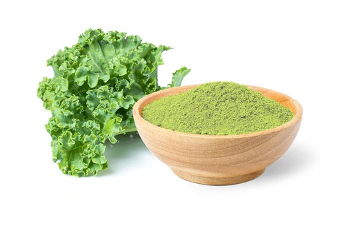 Kale Powder Manufacturing Plant Report 2025: Project Cost, Manufacturing Process, and Setup Details