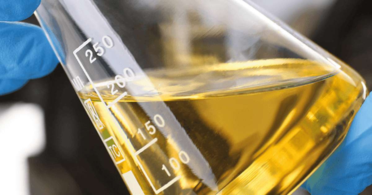 India Naphtha Market: Comprehensive Analysis - Revenue, Size, and Forecast