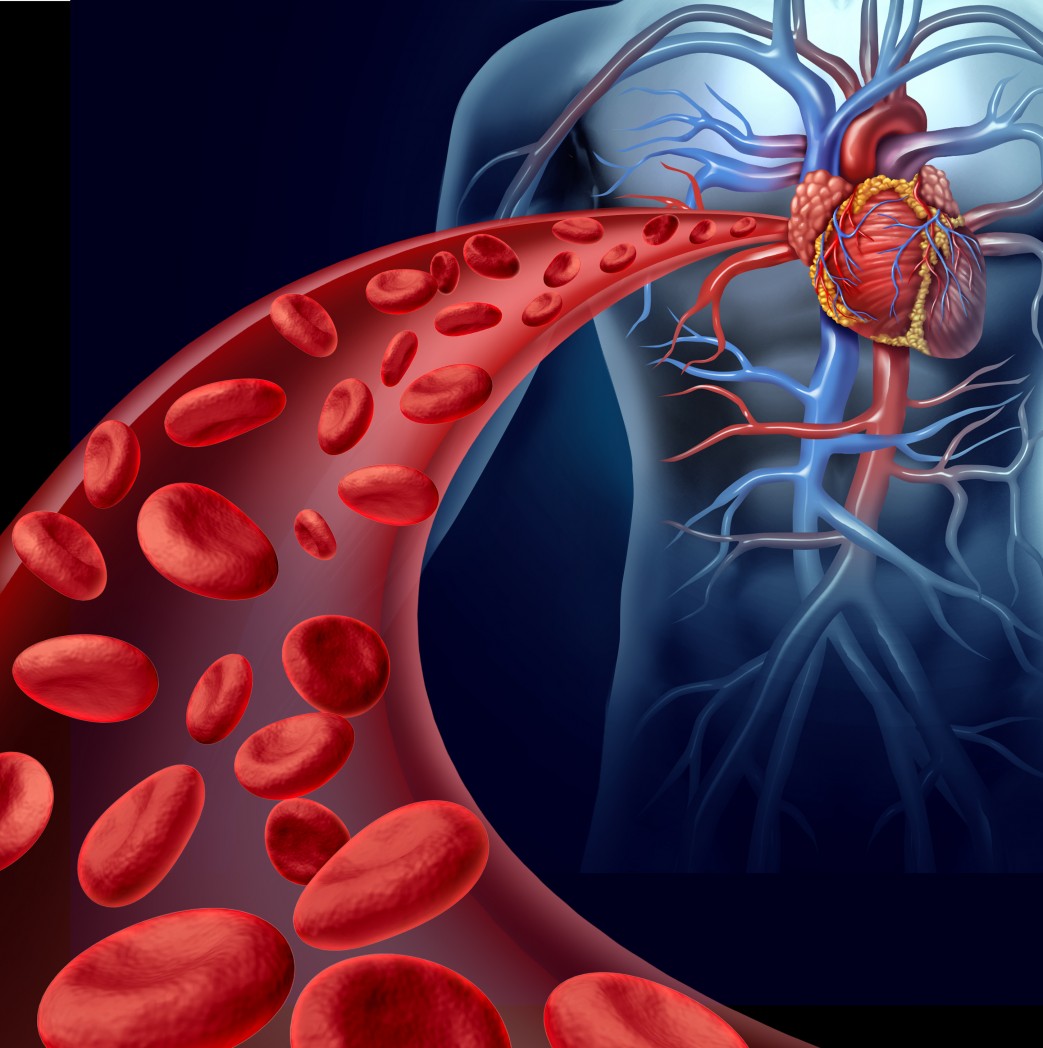 Hereditary Angioedema Therapeutic Market Report 2025-2033, Industry Growth Opportunities, and Forecast