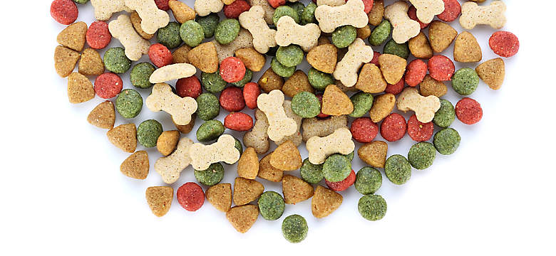 BASF SE's Strategic Role and Innovations in the Africa Pet Food Ingredients Market