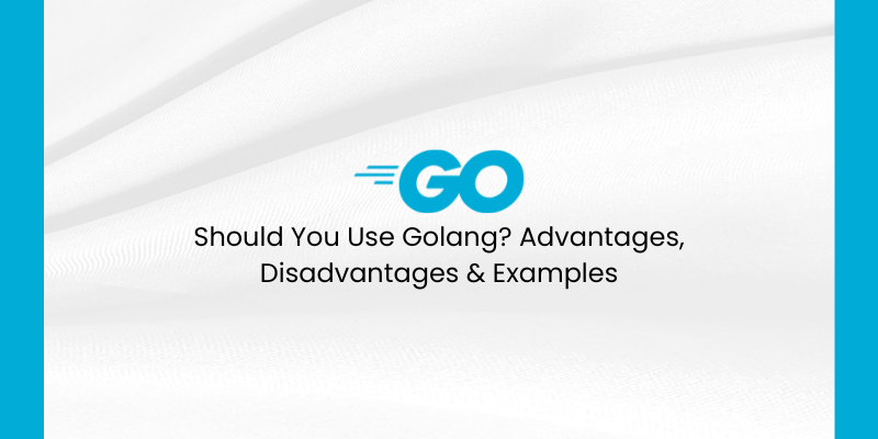 Should You Use Golang? Advantages, Disadvantages & Examples