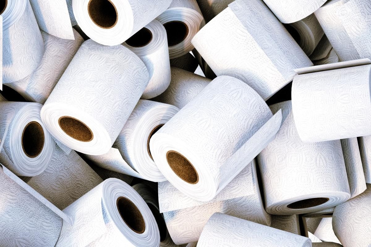 Toilet Paper Market Size, Share, Trends Analysis, and Forecast 2025-2033