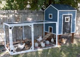 Designing My Chicken Coop Site: Adequate Features for the Look and Safety of the Coop