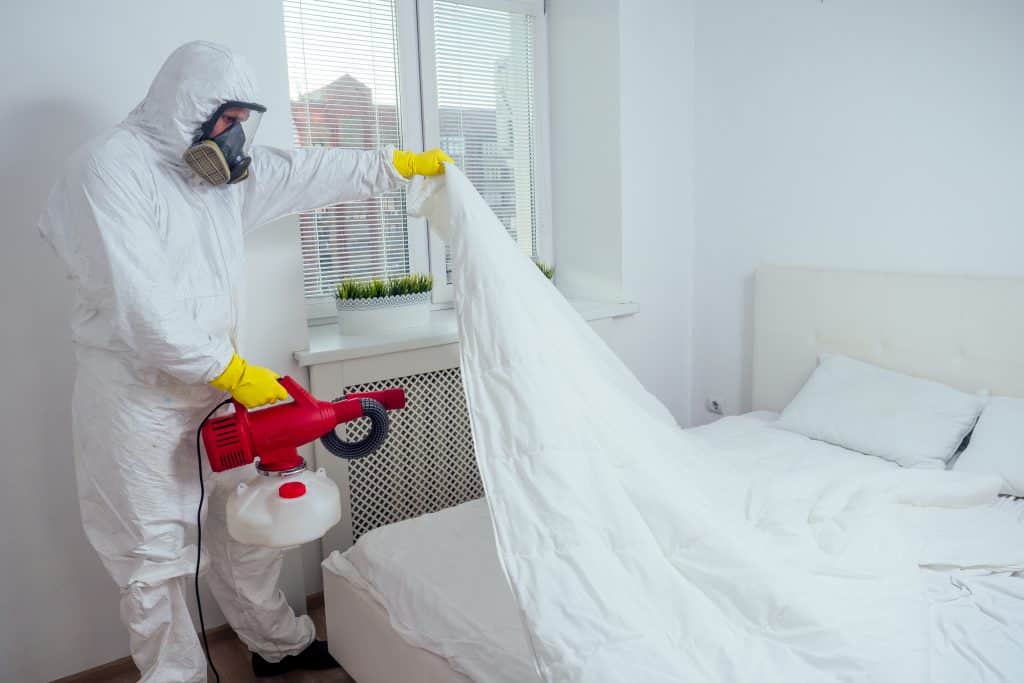 What is the Most Effective Bed Bug Control Method