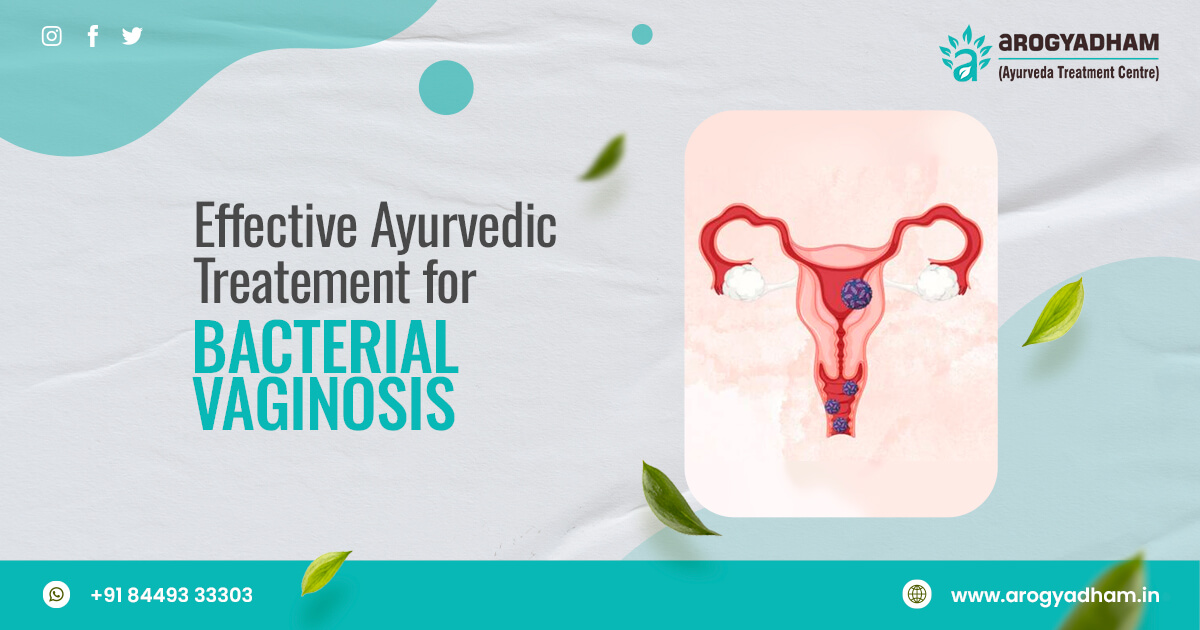 Top Ayurvedic Herbs for Combating Bacterial Infections