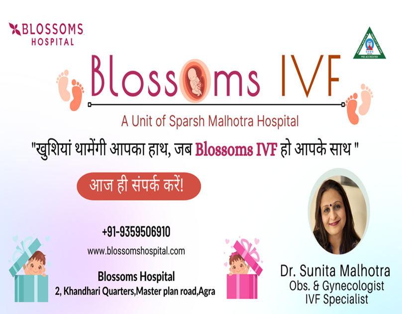 Overview of the IVF Treatment : Complete Information About IVF