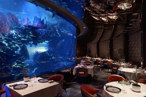 Find Delicious Restaurants Near You in Dubai – Top Picks for Every Taste
