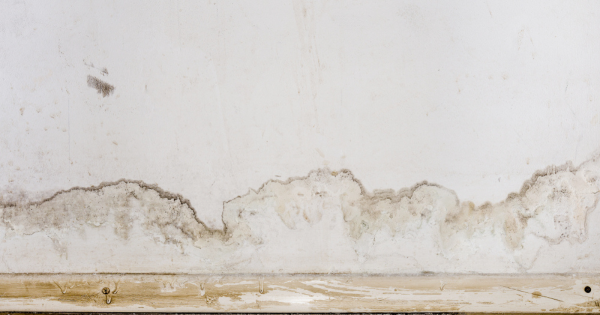 Common Causes of Drywall Damage and How to Prevent It