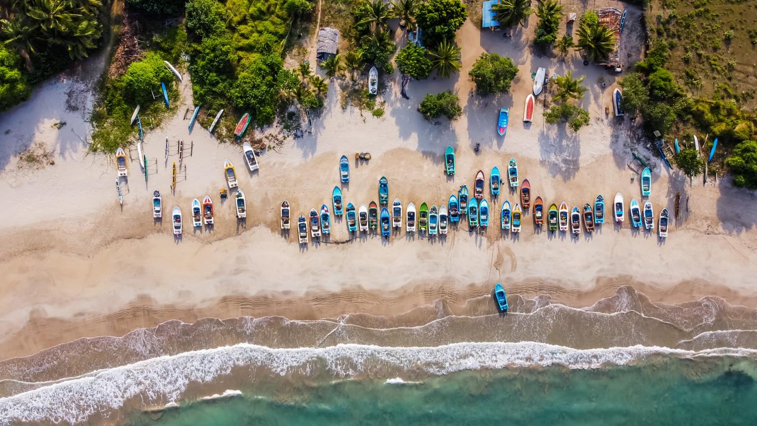 Top 7 Things to Do in Sri Lanka