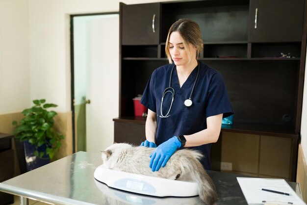 Comprehensive Veterinary Care in Qatar: Ensuring the Best for Your Pets