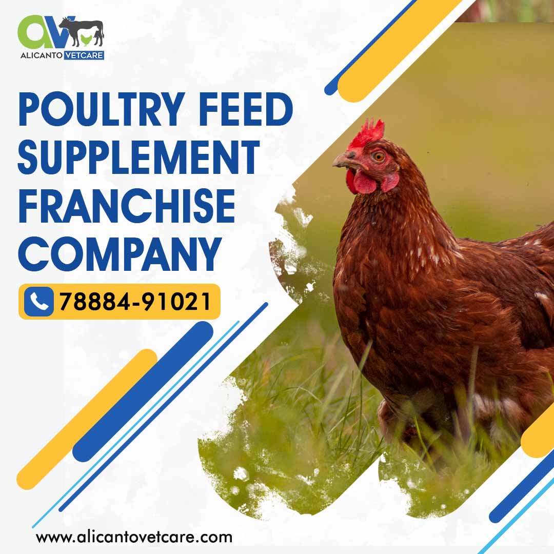 Profitable Poultry Feed Supplement Franchise Company