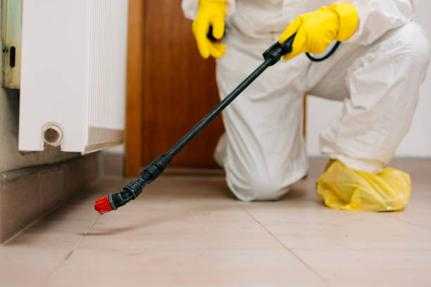 Eco-Friendly Bed Bug Exterminators in Missouri City, Texas