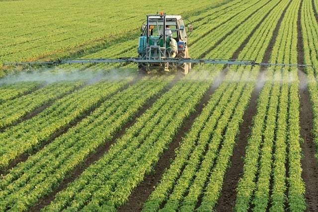 Saudi Arabia Agriculture Market 2025: A Growth Story in the Desert