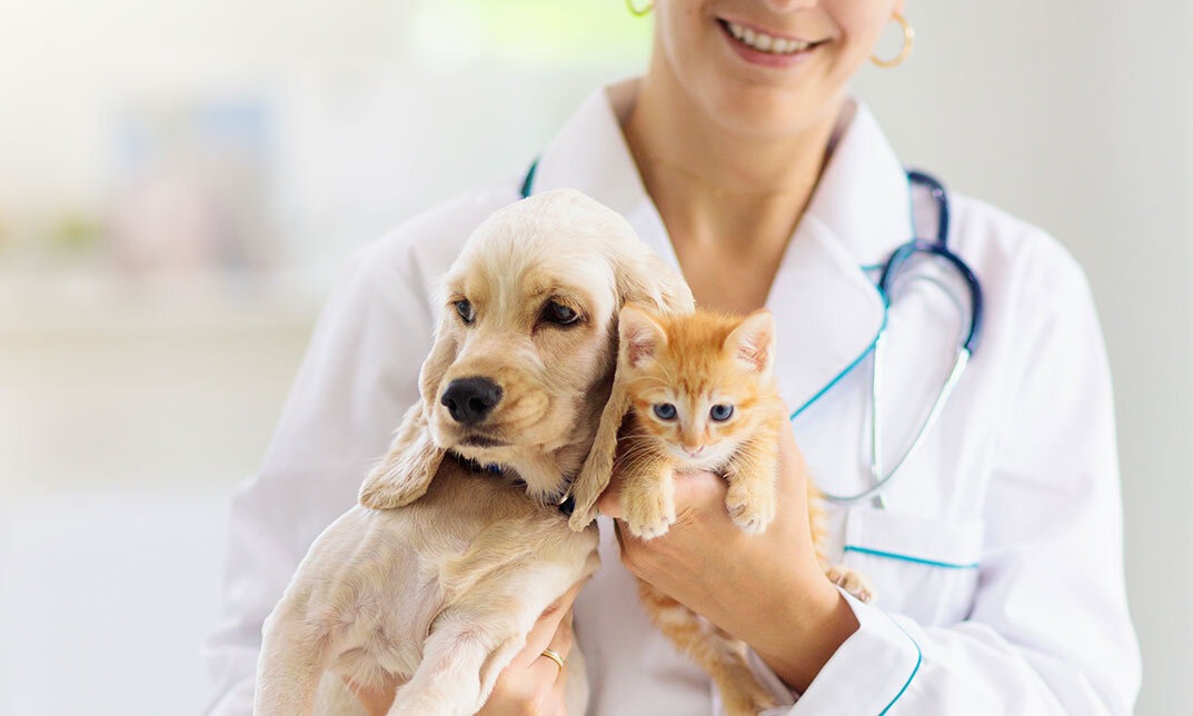 Animal Health Market Size, Share, Trends Analysis, and Forecast 2025-2033