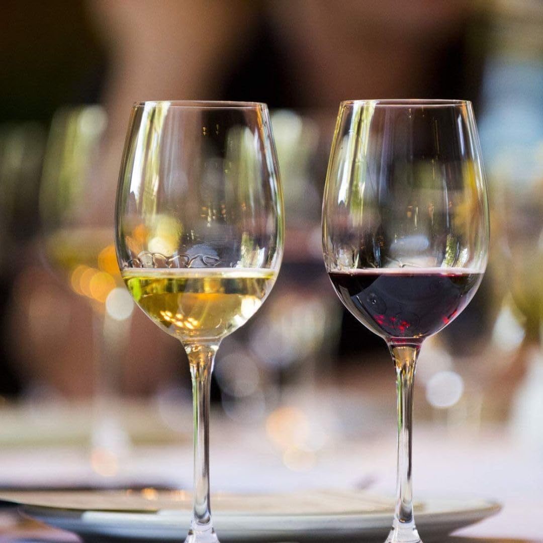 Red Wine vs White Wine: Understanding the Differences and Choosing the Best One for You