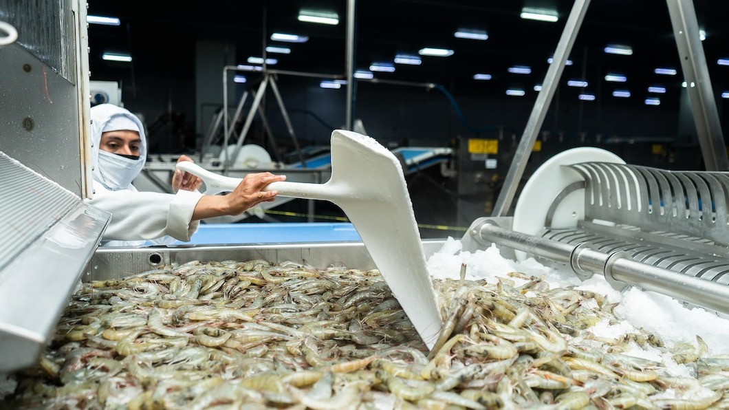Frozen Shrimp Manufacturing Plant Setup Report 2025: Project Details, Requirements and Costs Involved