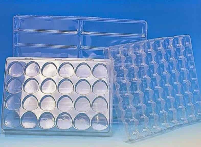 Blister Packaging Market Size, Share, Growth Opportunity and Forecast 2025-2033