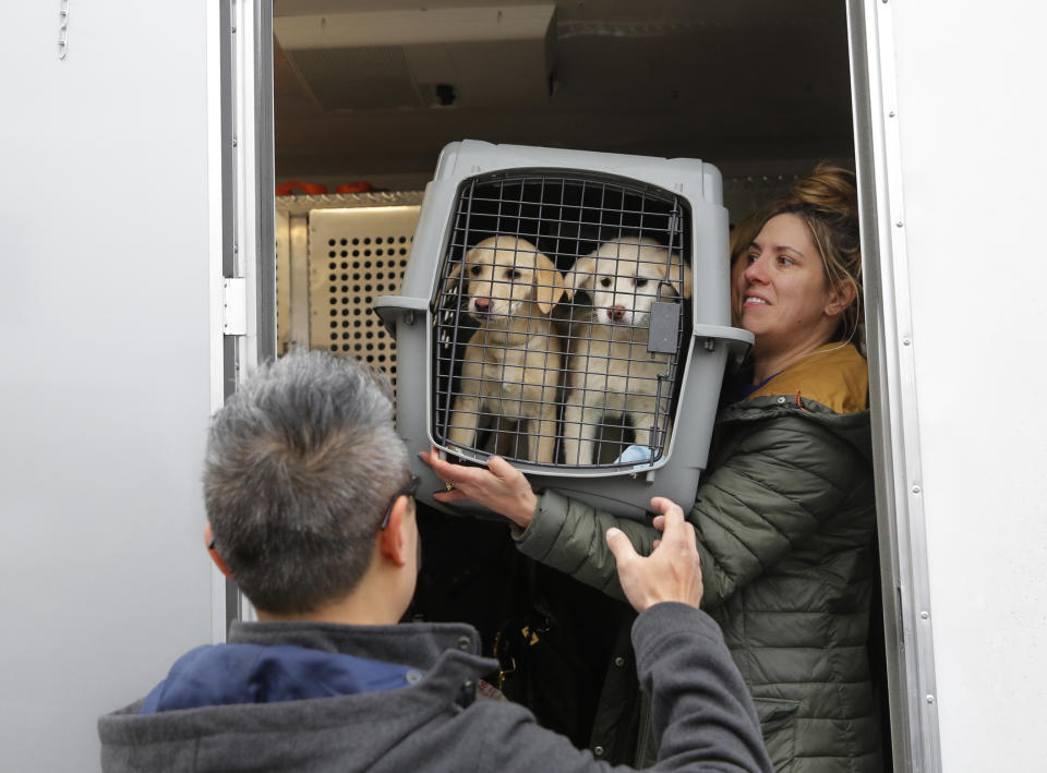 What Are the Benefits of Using Door-to-Door Pet Transport?