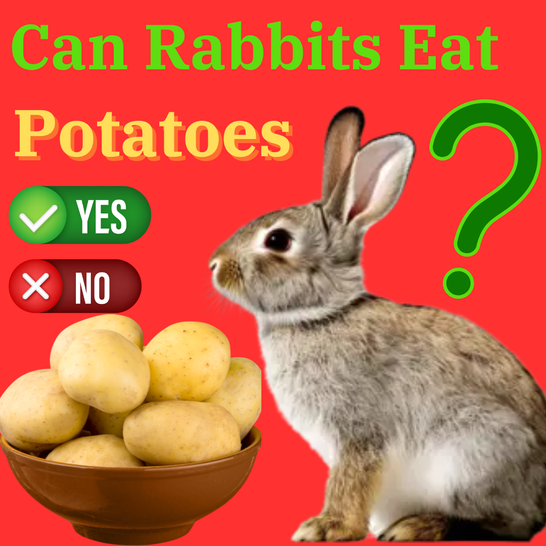 Can Rabbits Safely Eat Raw Potatoes?