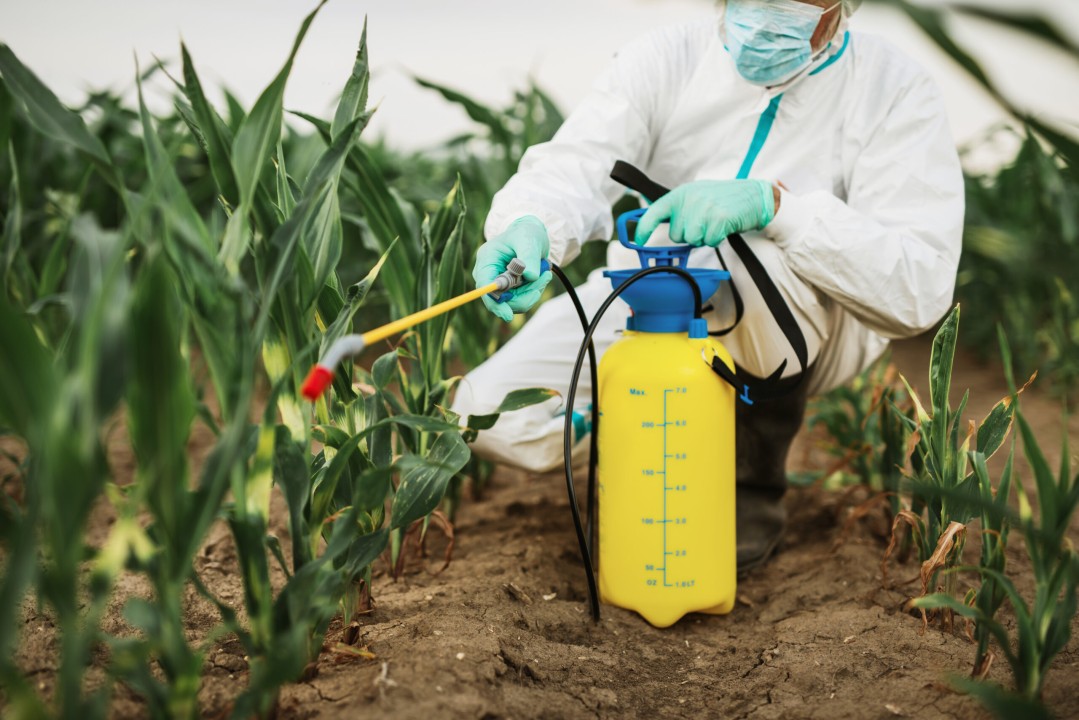 Latin America Crop Protection Chemicals Market Size, Share and Forecast 2025-2033
