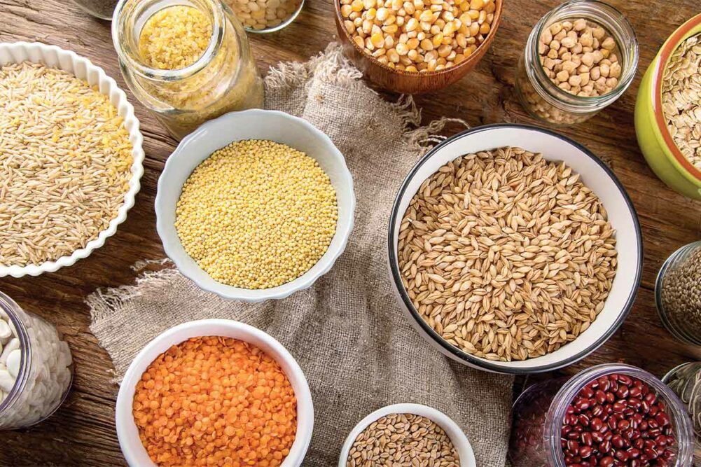 BASF SE and Its Role in the Australian Pet Food Ingredients Market: Strategies and Emerging Innovations