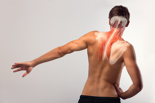 Neuromuscular Re-Education: Selecting the Best Treatment Approach
