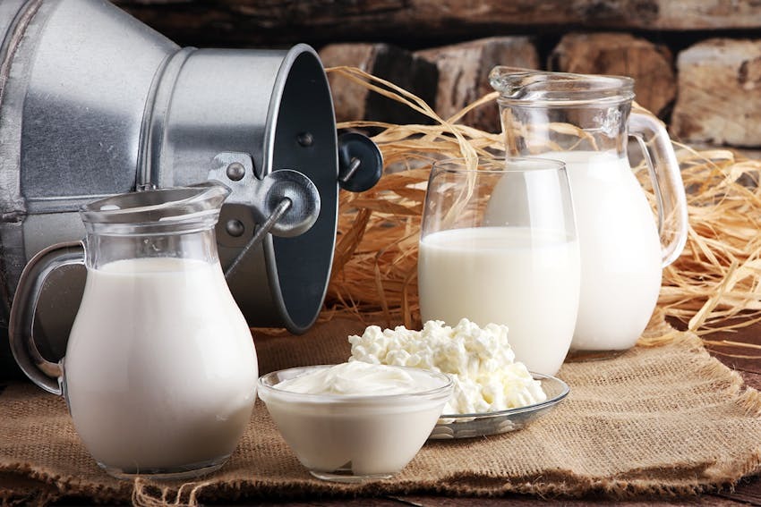 How to Maximize Profits in Desi Cow Dairy Farming: Tips from Haryana’s Top Farmers
