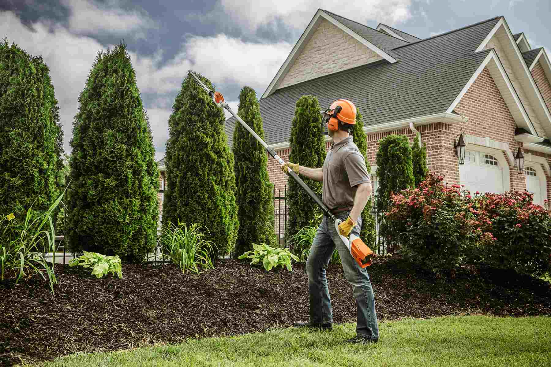 The Secret to Beautiful and Healthy Trees: Tree Trimming Services