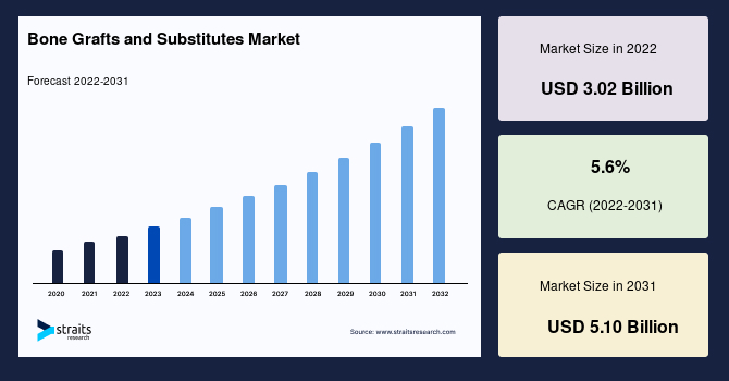 Bone Grafts and Substitutes Market: Analysis of Key Market Segments and Target Demographics, Forecast to 2031